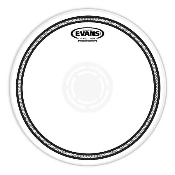 Evans 14" EC Reverse Dot